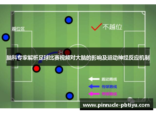 脑科专家解析足球比赛视频对大脑的影响及运动神经反应机制