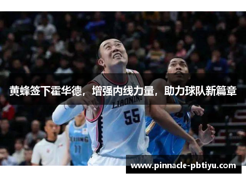 黄蜂签下霍华德,增强内线力量,助力球队新篇章