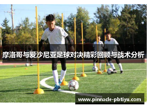 摩洛哥与爱沙尼亚足球对决精彩回顾与战术分析